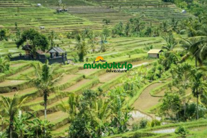 MUNDUKTRIPADVENTURE (1)