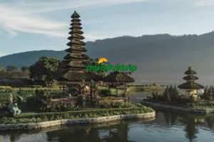 MUNDUKTRIPADVENTURE (6)